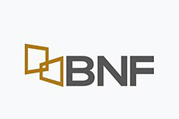 banco%20nacional%20del%20fomento%20bfn%20logo